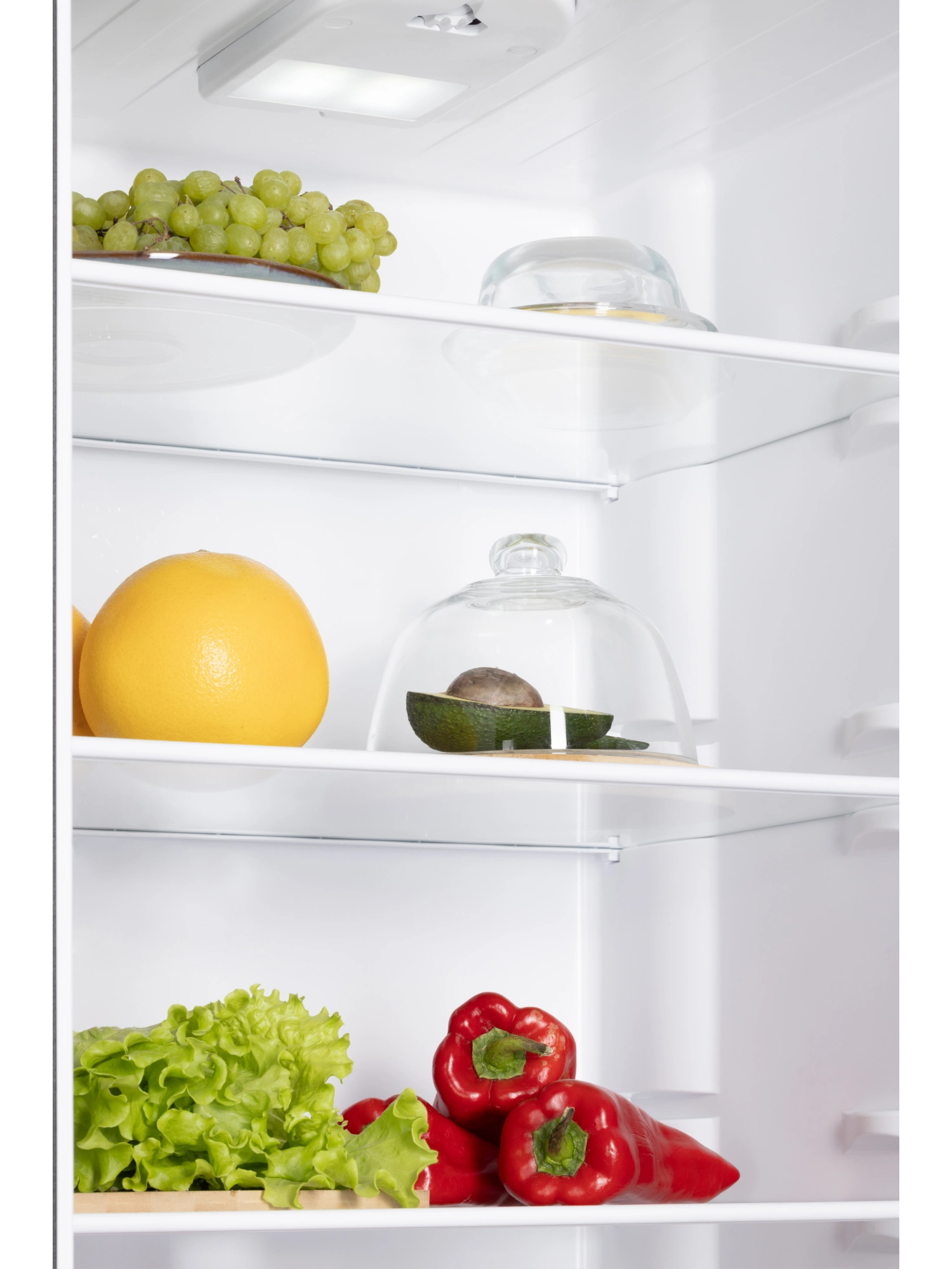 картинка Отдельностоящий холодильник Nord NRG 152 DTM титан 