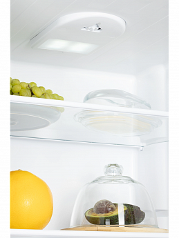 картинка Отдельностоящий холодильник Nord NRG 152 GTM матовый графит 