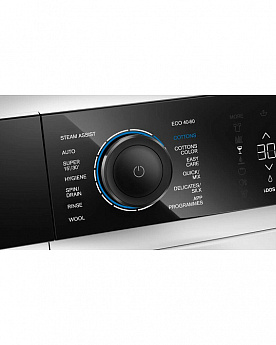 картинка Стиральная машина с функцией пара Gaggenau WM260165 