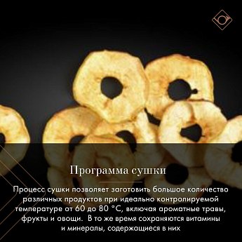 картинка Электрический духовой шкаф De Dietrich DOP4755MB MASTER BLACK 