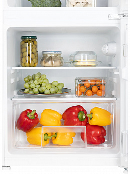 картинка Отдельностоящий холодильник Nord NT 90 W белый 